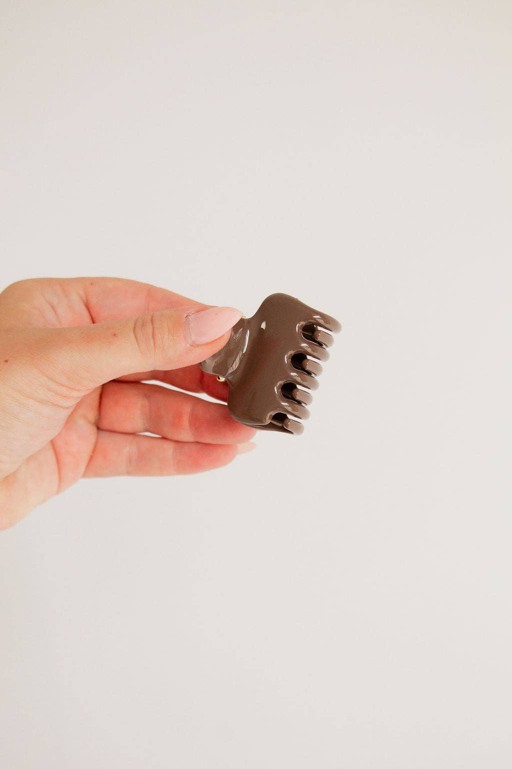 Mini Claw Clip